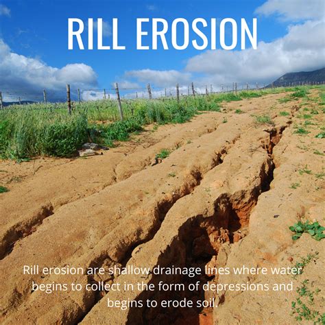 6 Types of Soil Erosion | GO Seed