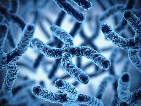 20 Dole Whip Nutrition Facts - Facts.net