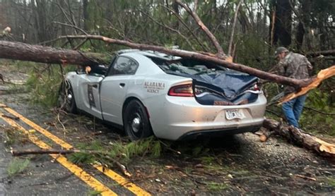 Trooper recovering after tree falls on patrol vehicle during storms