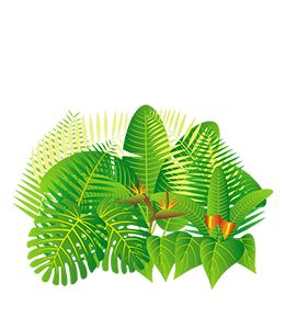 Image result for Yellow Green Color Code