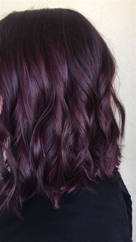 Pin by Chelsea Coots on HAIR! | Plum hair, Hair color plum, Burgundy hair