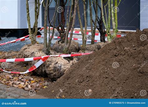 Old Courtyard House - Medieval Stronghold Royalty-Free Stock Photo ...