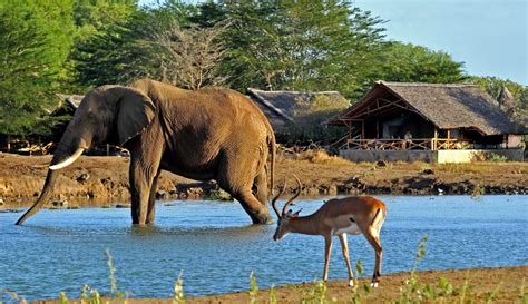 National Park Tsavo