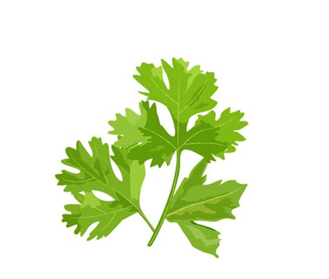 Happiness in a bottle