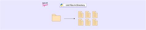 Image result for Using Python List Folder Contents