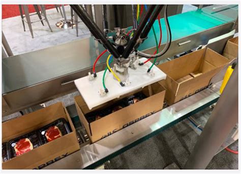 Image result for Tray-Loading Robot