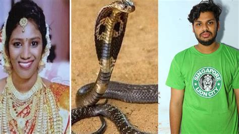 Sooraj started ‘studying’ about snakes seven months ago; Getting snake ...