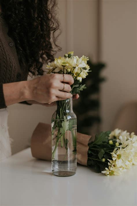 Arch+Pics+Women Photos, Download The BEST Free Arch+Pics+Women Stock ...