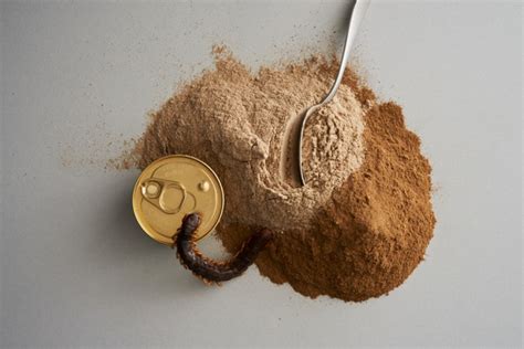 Lovely grub: Are insects the future of food?