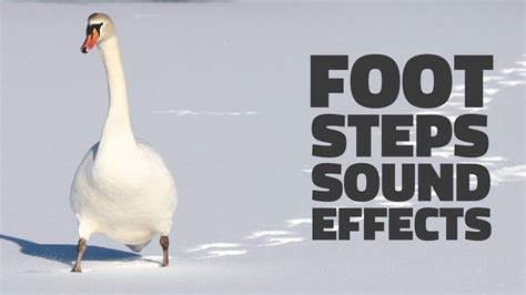 Image result for Play Step Pattern Sounds