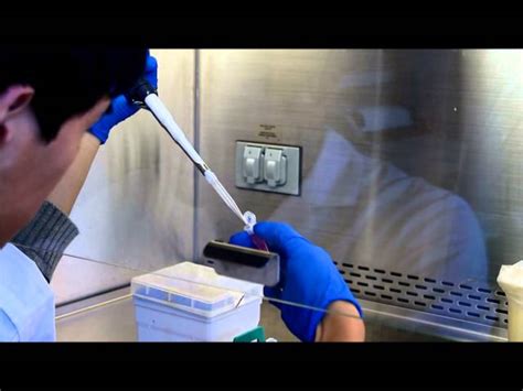 BIO TECH KITS - Pro TechEx-Genomic DNA Extraction from Plant Teaching ...