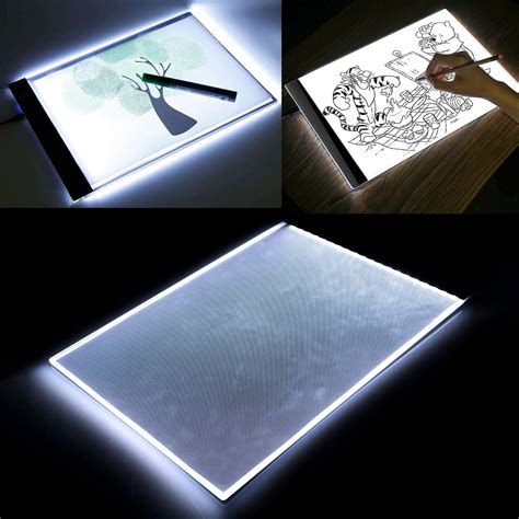 Art Lightbox Display at Isla Leahy blog