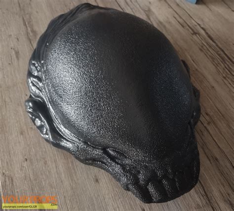 Image result for Alien vs Predator Head