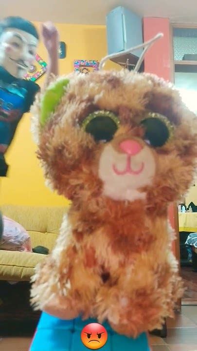 Image result for Pipapi