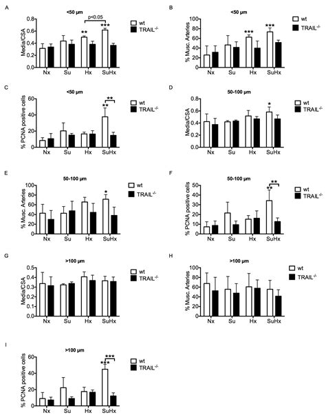 TRAIL Deficient Mice Are Protected from Sugen/Hypoxia Induced Pulmonary ...