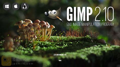 GIMP Python 的图像结果
