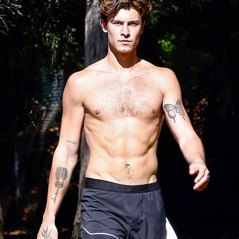 Shawn Mendes Shitless