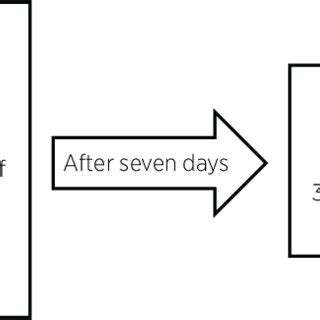 Image result for Data Collection Steps