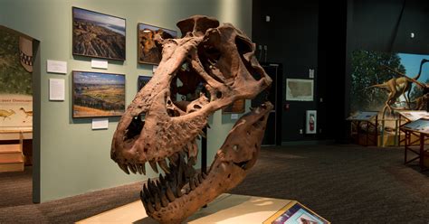 Dinosaurs in real-life: Where to find a "Jurassic World" around the US