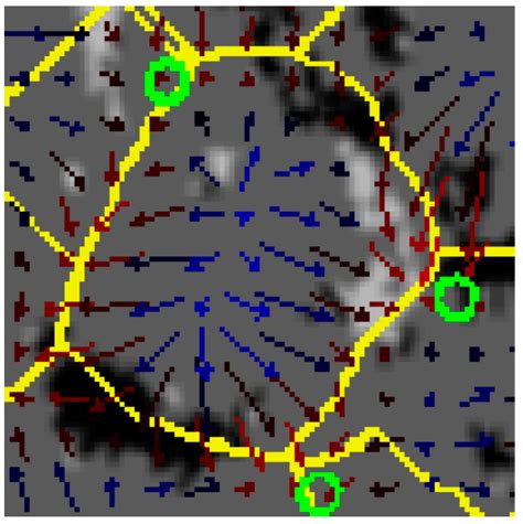 Magnetic Filaments: Formation, Stability, and Feedback