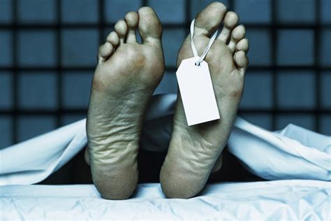 Coffin Exploding 的图像结果