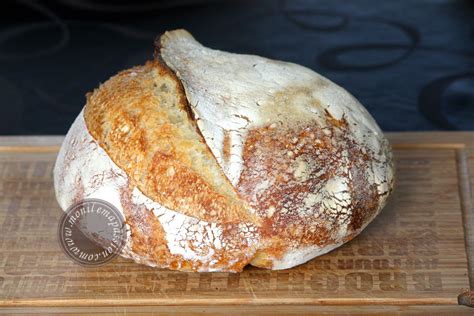 Pain Modulation 的图像结果