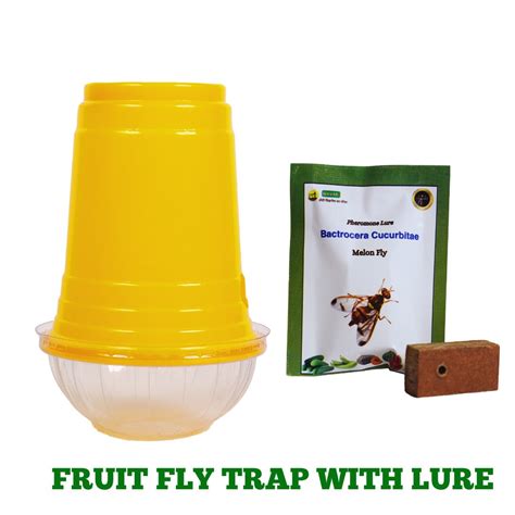Fruit fly trap(Bactrocera cucurbitae) – Agri-Route