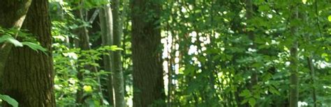 Memmingen Tourism (2024): All You Need to Know Before You Go