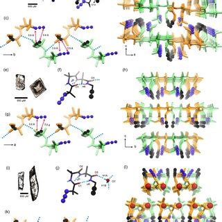 Image result for Polymorph Polymer Structure