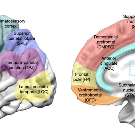 Image result for Executive Control Processes