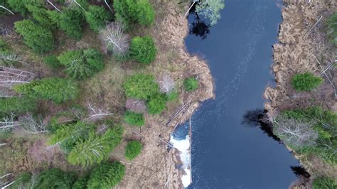 Royalty Free Stock Footage 的图像结果