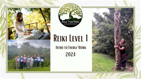 Reiki Level 1 - South Auckland, 15 Percy Graham Dr, Tuakau 2121, New ...