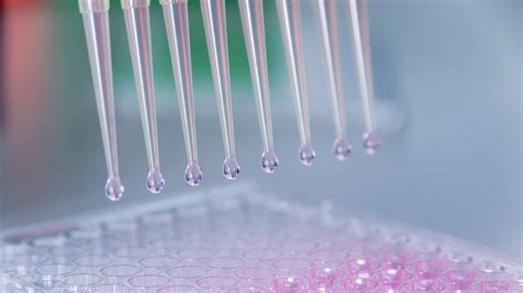 How Made Its Science 的图像结果