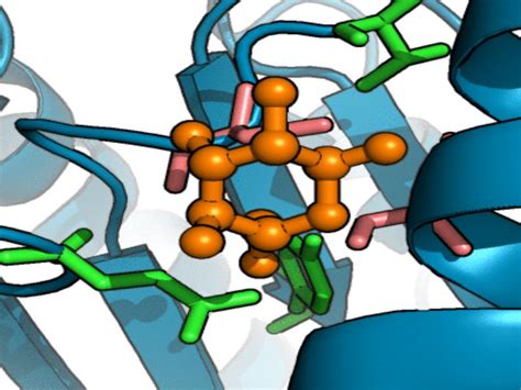 Chandra Lab - Department of Biochemistry