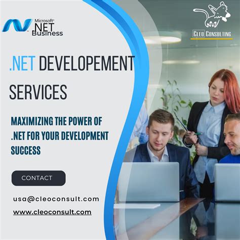 Image result for Net Software Development Services