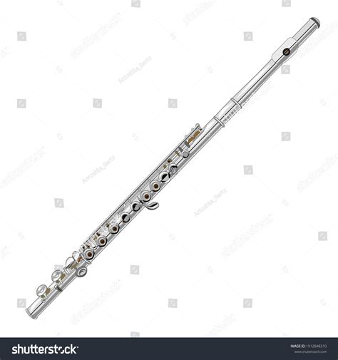 Flute Woodwind Orchestral Instrument Isolated White Stock Vector ...
