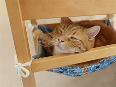 amaca gatto amaca per gatto da appendere sotto la sedia keblog shop amaca gatto amaca per gatto da appendere sotto la sedia keblog shop