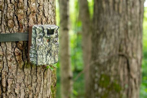 Image result for How to Use a Trail Camera