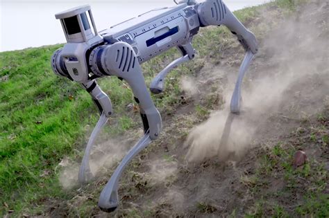 UniTree B2 Robot 的图像结果