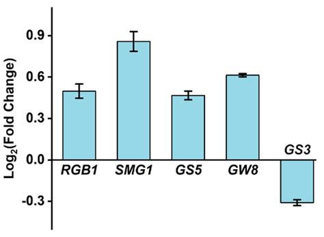 Plants | Special Issue : Production and Role of Molecular Hydrogen in ...