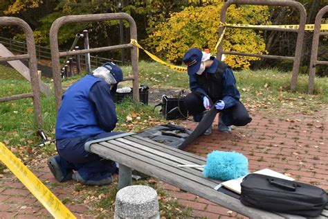 Image result for Examples of Observation Methods