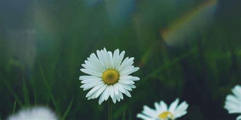 Content-Aware 的图像结果