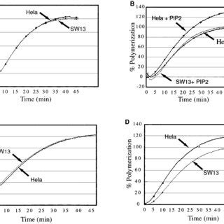 Image result for Extracts BAF