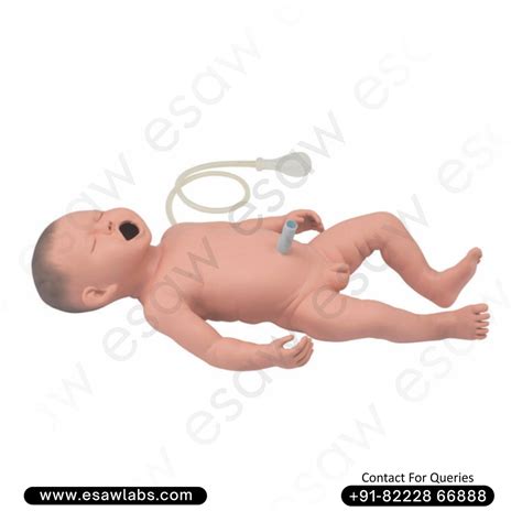 Neonatal Resuscitation Simulator – Advanced Newborn CPR and Umbilical