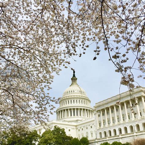 DC WITH DANIEL - All You Need to Know BEFORE You Go 2026 (with Photos ...
