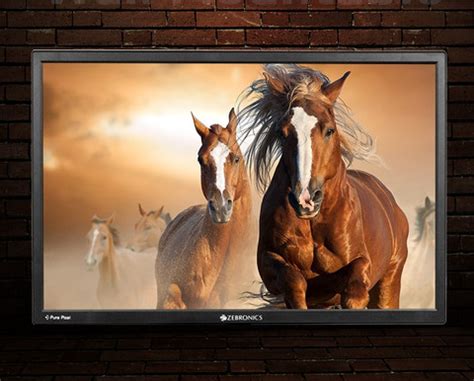 ZEBRONICS 55.88 cm (22 inch) HD+ LED Backlit VA Panel with Dual Input ...