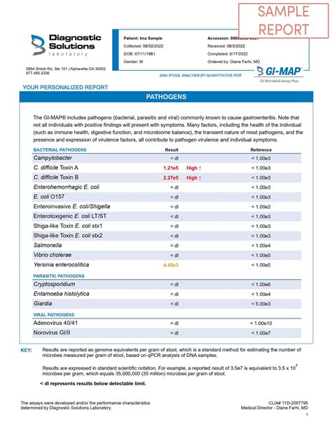 GI Map Testing 的图像结果