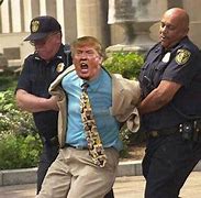 Image result for Greene on Trump arrest