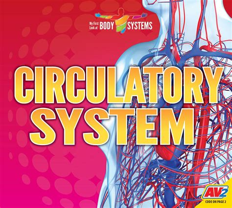 Circulatory System (My First Look at Body Systems) : Woodland, Faith ...