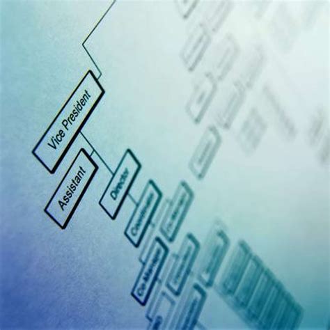 Image result for Example Business Organization